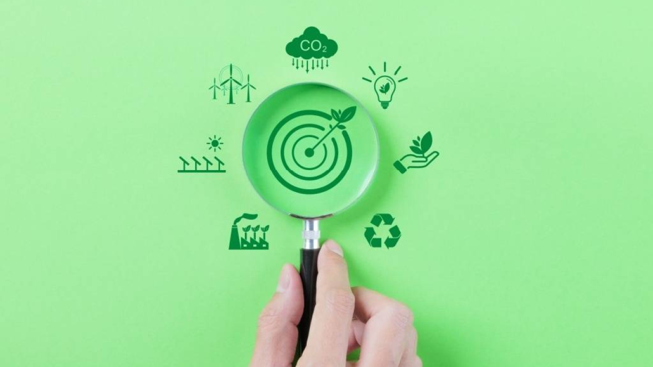 Blog - Amprenta de carbon - soluții și practici pentru un business verde
