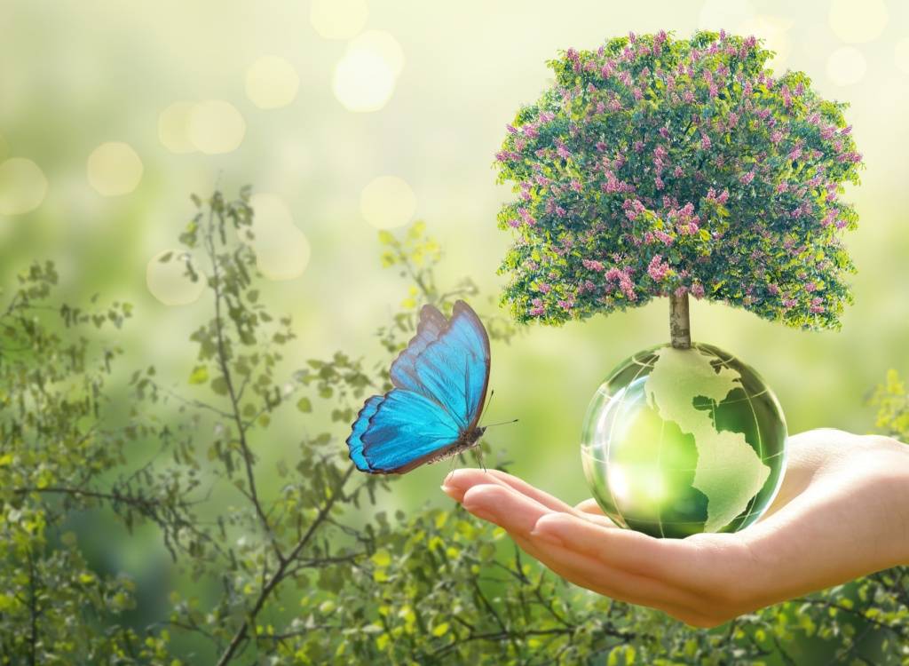 Blog - 3. Factori care influențează ciclul de viață al produsului